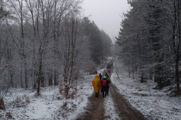 Zima steže drveće, ali već po izlasku iz ovog dela šume čekalo nas je proleće na livadi