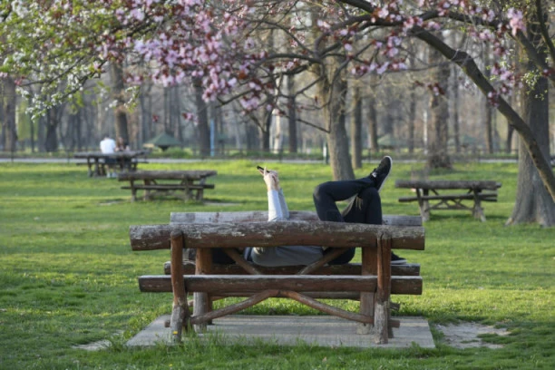 NEZAPOSLENOST NA ISTORIJSKIM MINIMUMU: A evo i šta se dešava sa ljudima koji traže posao