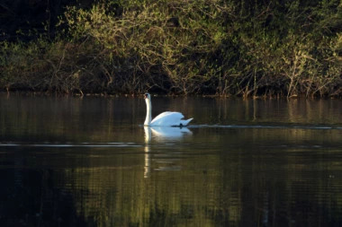 Danas pretežno sunčano i toplo, temperatura do 24 strepena