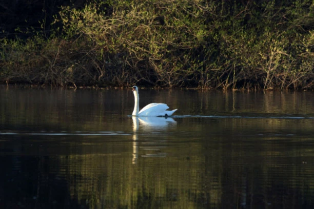 Danas pretežno sunčano i toplije
