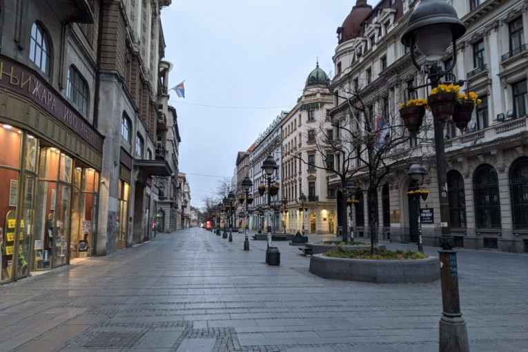 (FOTO) PROŠIRENA ZABRANA KRETANJA DELUJE: Ulicama Beograda cirkulišu samo životinje