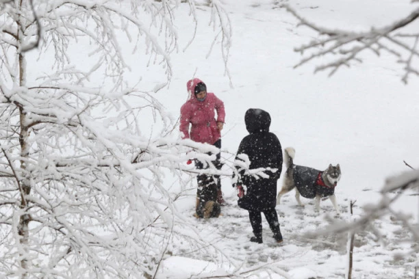(FOTO, VIDEO) DELOVI ZEMLJE ZATRPANI SNEGOM: Pogledajte kakva je situacija na nekim putevima u Srbiji!