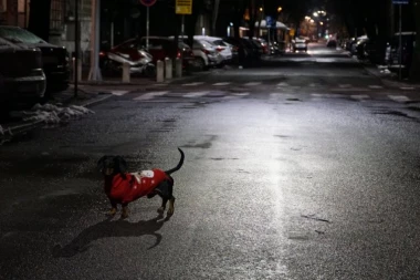 OPADA PODRŠKA RESTRIKCIJAMA: Većina Nemaca hoće popuštanje mera, lekari traže PRODUŽETAK lokdauna!