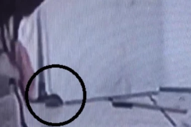 (VIDEO) JEZIVO! Miševi kolo vode: Zadrugare neće ubiti korona već leglo nepoželjnih gostiju!