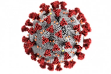 JEZIV ILI UMIRUJUĆ? Poslušajte zvuk koronavirusa koji su snimili naučnici