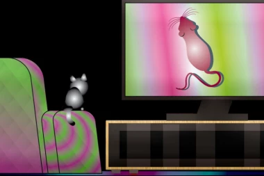 Ukoliko ljubimcu ostavljate uključen televizor dok niste tu, OVO treba da uradite čim se vratite kući!