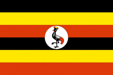 (VIDEO) Predsednik Ugande, čovek za primer: U 75. godini radio sklekove i vežbao u kancelariji