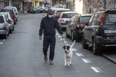 PAPRENO! Makedonac prekršio meru karantina, izašao da prošeta psa, a sad mora da diže kredit da bi platio kaznu!