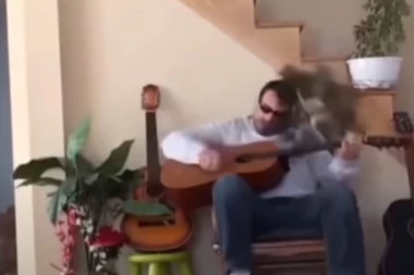 (VIDEO) Ko se mačke lati, od mačke će poginuti: Maltretirao životinju, pa dobio po tintari!