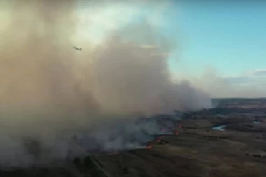 Dalekovodi izazvali požar na Kopaoniku: U VATRI čak 50 hektara borove šume!