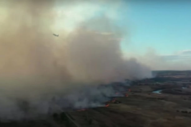 Dalekovodi izazvali požar na Kopaoniku: U VATRI čak 50 hektara borove šume!