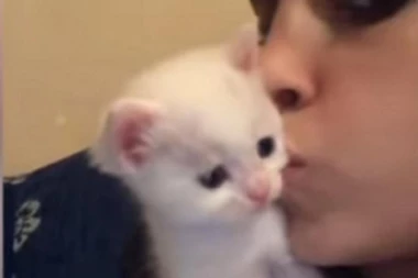 (VIDEO) ISTOPIĆETE SE! Ovo je nešto najlepše što ćete videti danas: Poljubila mače, ono joj uzvratilo!