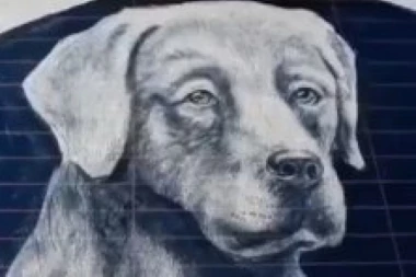 (VIDEO) Nema šanse da pogodite kako je ova slika nastala dok ne pogledate snimak