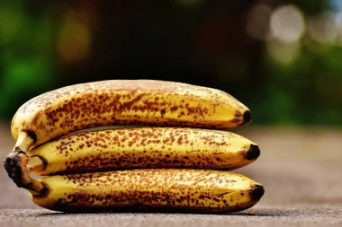 Tropsko voće, rodilo u srcu Šumadije: Banane u dvorištu porodice Tomić