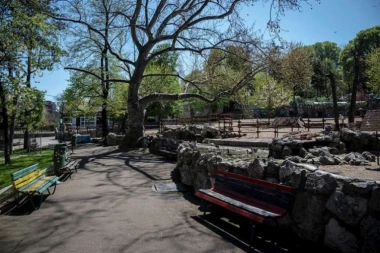 LEPE VESTI: Stigla još jedna PRIINOVA u BG ZOO VRT! Kada je vidite, ISTOPIĆETE SE!