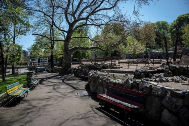 LEPE VESTI: Stigla još jedna PRIINOVA u BG ZOO VRT! Kada je vidite, ISTOPIĆETE SE!