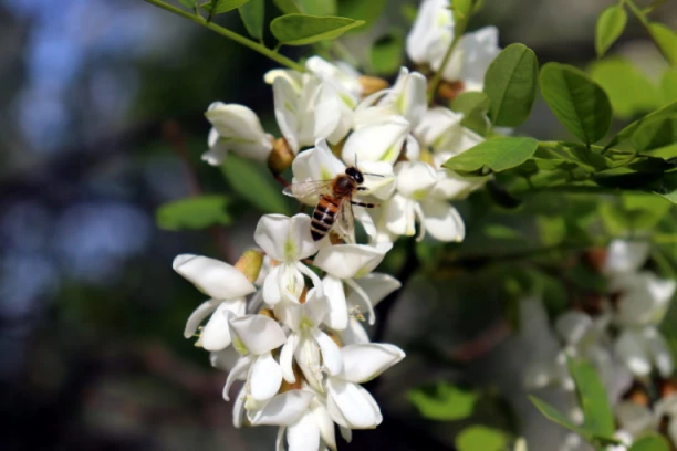 NAJLEPŠI CITATI O PROLEĆU: ''Žao mi je svih kojima to nije važno!''