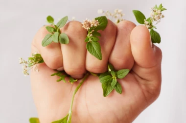 L’Oréal pokreće program "L’Oréal for the future" vredan 150 miliona evra