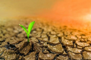 Novo na tržištu osiguranja u Srbiji: Jedinstveno osiguranje od suše