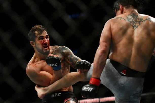 (FOTO,VIDEO) Ponovo spektakularne UFC borbe u Americi: Pucale noge i leteli zubi u Džeksonvilu!