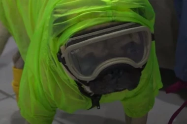 (VIDEO) Upoznajte psa Harlija, terapeuta u bolnici tokom korone