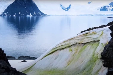 (VIDEO) NEVEROVATAN PRIZOR: Zeleni sneg na Antarktiku!