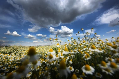 NAJPRECIZNIJA VREMENSKA PROGNOZA DO KRAJA MESECA! Čekaju nas PAKLENE VRUĆINE, ali je moguća i SUPERĆELIJSKA OLUJA!