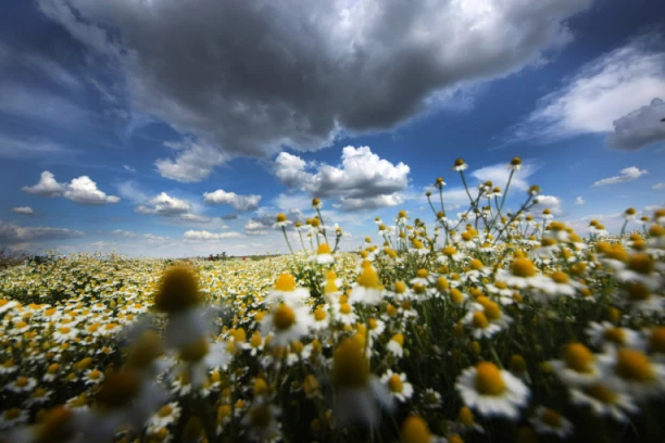 NAJPRECIZNIJA VREMENSKA PROGNOZA DO KRAJA MESECA! Čekaju nas PAKLENE VRUĆINE, ali je moguća i SUPERĆELIJSKA OLUJA!