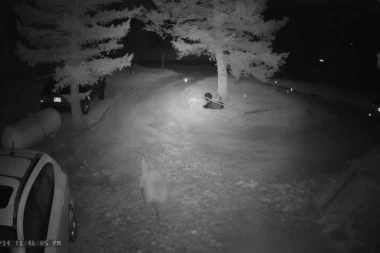 (VIDEO) Ujutru su primetili da im je neko ulazio u auto, a kad su videli snimak sa nadzorne kamere, ŠLOGIRALI SU SE!