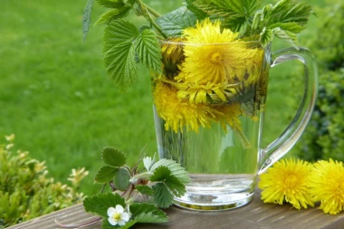 Moćan žuti cvet koji jača organizam: Ova biljka čisti telo od toksina i odličan je diuretik!