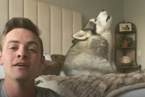 ŠTA SVE NEĆE IZMISLITI: Više ne morate sa društvom na pivo, možete da ga pijete i sa svojim psom