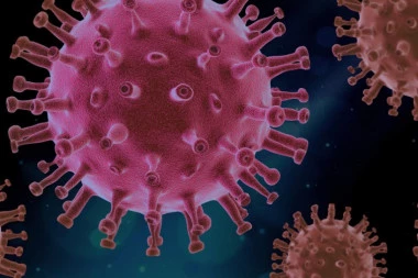 Kanadski naučnici otkrili abnormalno ponašanje koronavirusa