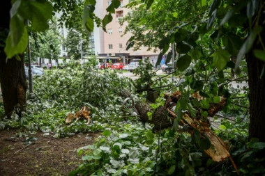 (FOTO) Jako nevreme čupalo drveće u Banjaluci: Svi na oprezu, najavljene nove nepogode, a oblak se kreće prema Srbiji