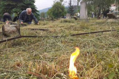POŽAR NA GROBLJU: Sveće izazvale HAOS, izgorelo 80 kleka i stablo pačempresa u Novom Sadu