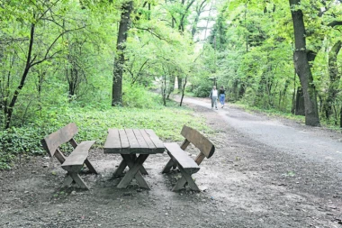 Detalji ranjavanja na Zvezdari: Krv liptala na sve strane, povređeni Lazar (17) u teškom stanju!