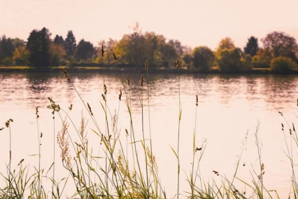 NADLEŽNI BROJE ŽRTVE STRAVIČNE NESREĆE: Prevrnuo se i zapalio rečni brod (VIDEO)