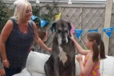 Upoznajte Fredija, umiljatog džina i dvostrukog Ginisovog rekordera