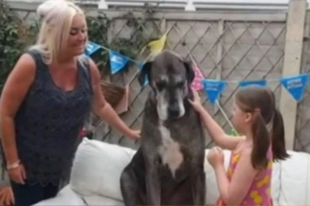 Upoznajte Fredija, umiljatog džina i dvostrukog Ginisovog rekordera