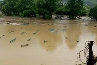 (FOTO, VIDEO) POTOP U IVANJICI: Proglašena vanredna situacija, reka nosi sve pred sobom!