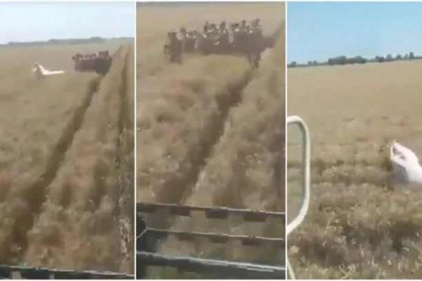 (VIDEO) GDI SI TI MLADA POŠLA?! "Šta je Beograđani, došli ste ovde da se snimate": Seljak iz Vojvodine se obrušio na mladence, PALE TEŠKE REČI!