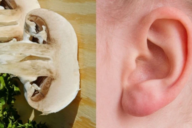 Najzanimljivija teorija o zdravoj ishrani ikada: Hrana liči na organe koje leči i kojima poboljšava rad!