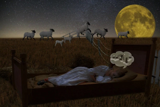 Neće vam san na oči? Prestanite da brojite ovce i momentalno izbacite OVO iz sobe!