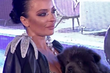 NAKON AFERE SA PO*NIĆEM KOJI JE PREPLAVIO INTERNET, Jelena Pešić FRAPIRALA: Evo sa kojom zadrugarkom je to radio u rijalitiju OTPOZADI !