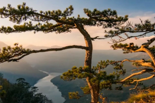Banje i planine su najposećenije: Smanjen pad prometa zbog domaćih turista