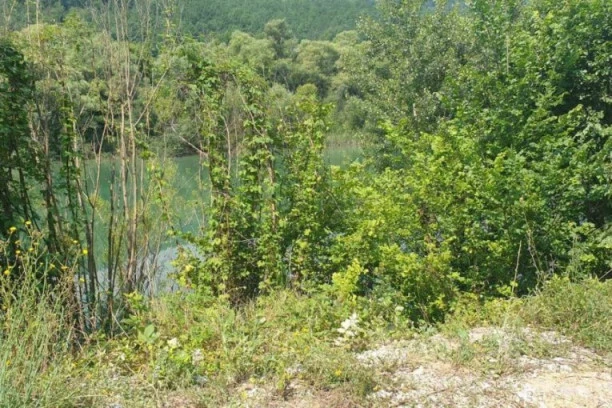 BRZA VOŽNJA MU ODNELA ĆERKIN ŽIVOT: Pančevac koji je autom sleteo u Lim bi mogao da ode na dugu robiju