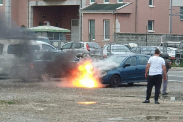 (FOTO) POŽAR na Petlovom brdu, SLIKE SA LICA MESTA