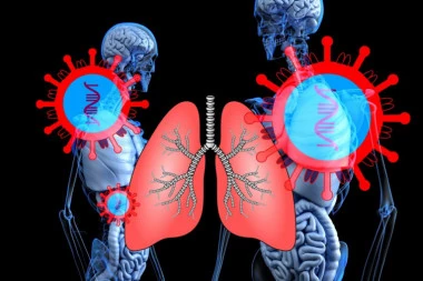 REZULTATI ISTRAŽIVANJA INSTITUTA DEDINJE: Korona respiratorna, ali i kardiovaskularna bolest!