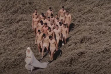 Rešena misterija sa njive u Vojvodini: Otkriveno šta su mlada i golaći radili u žitu