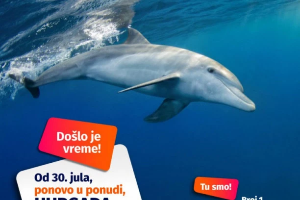 Turistička agencija "Wayout" otkriva LEPE VESTI!