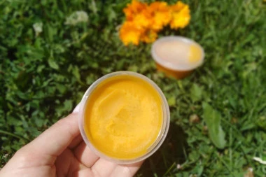 (RECEPT) NAJEFIKASNIJI DOMAĆI MELEM ZA PROŠIRENE VENE: Evo kako treba da se nanosi!